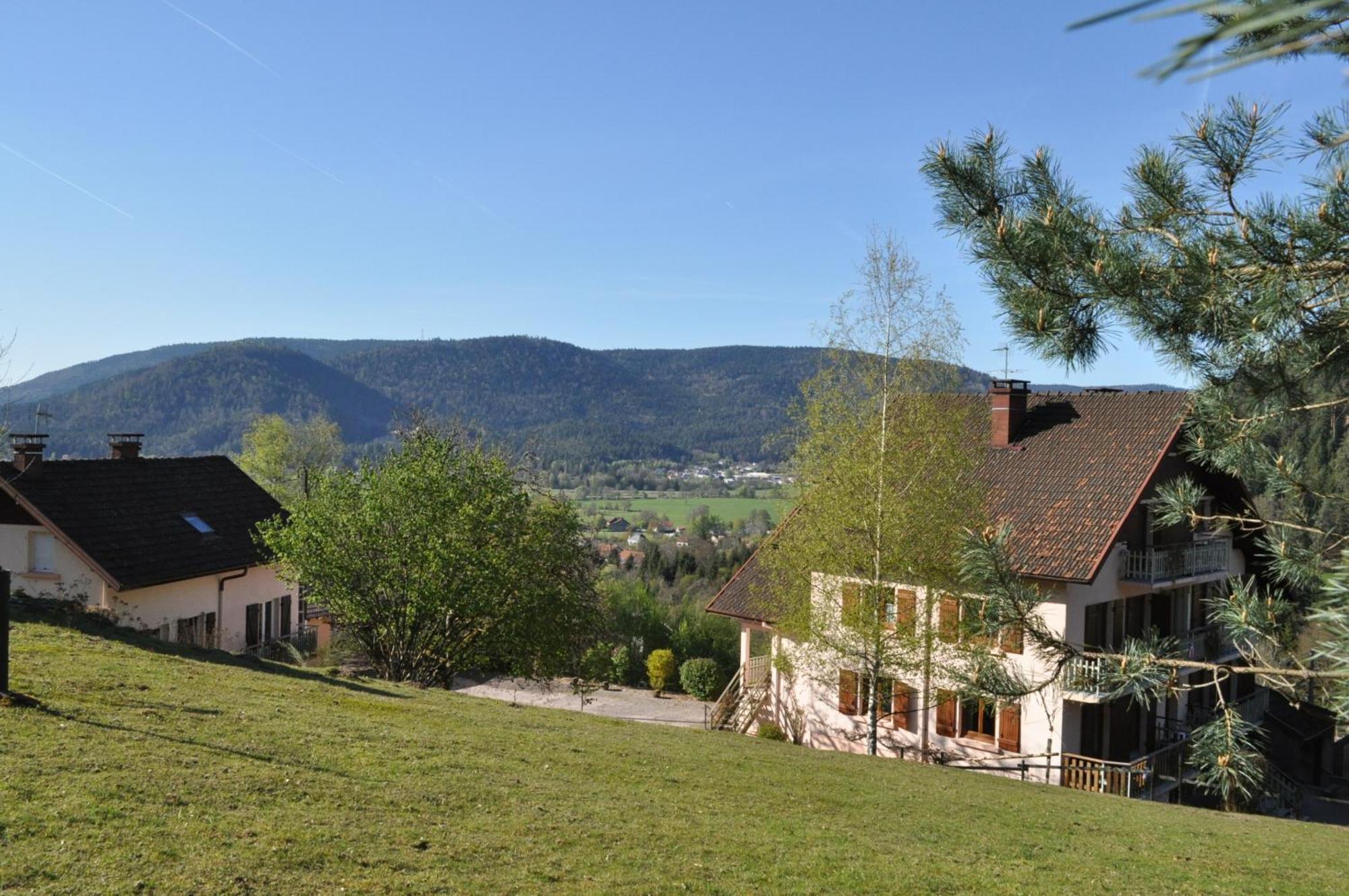 A L'Oree Du Bois Dommartin-lès-Remiremont Rum bild