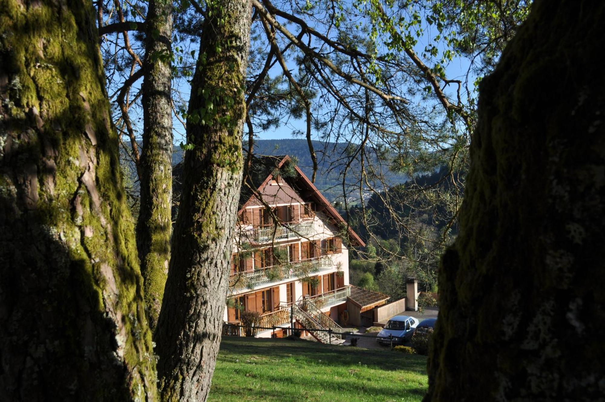 A L'Oree Du Bois Dommartin-lès-Remiremont Exteriör bild